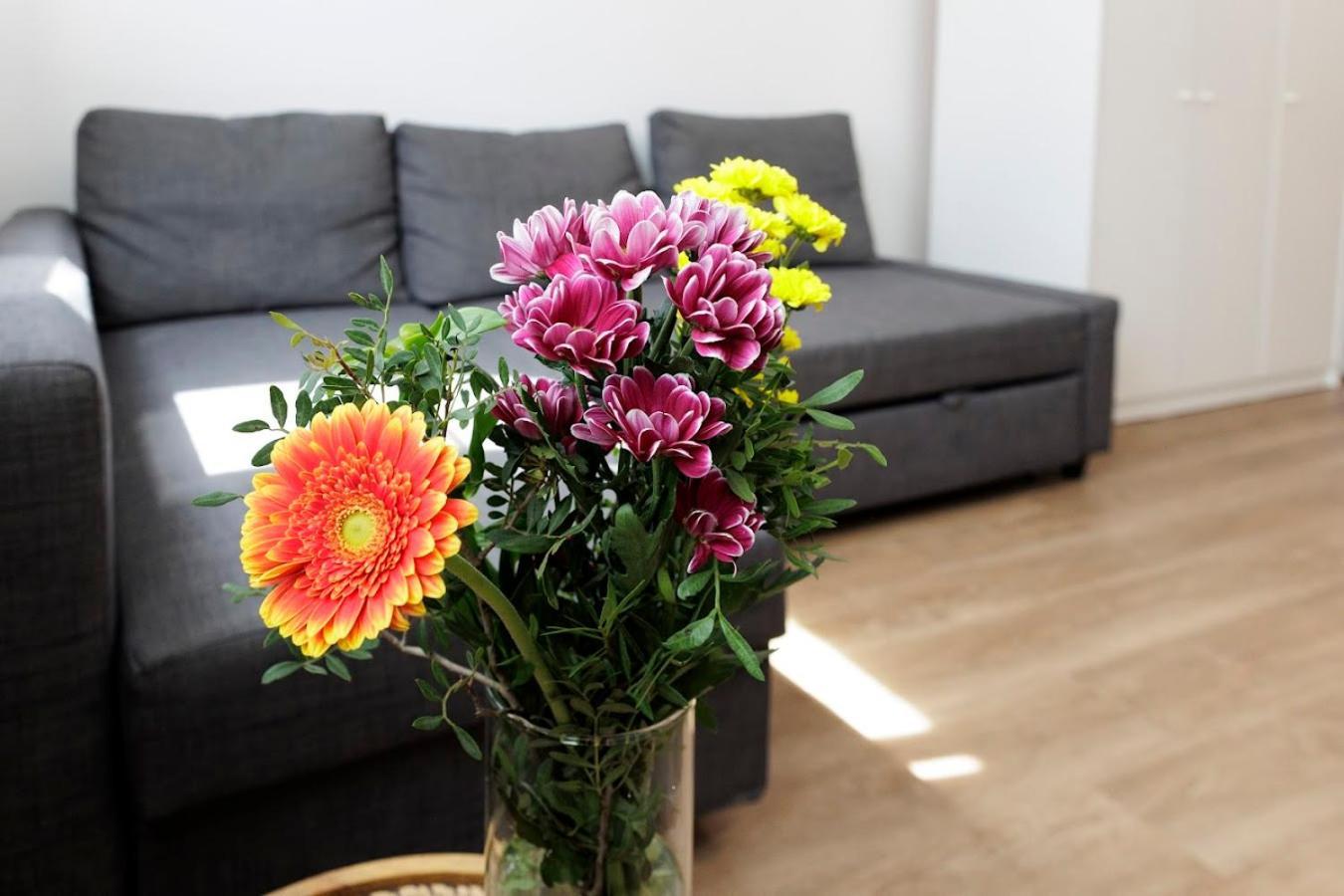 Apartamento Diamond In Old Town With Free Parking *