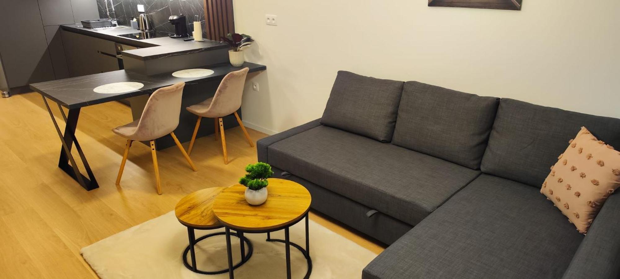 Apartment New With Free Garage Parking Near The Airport *