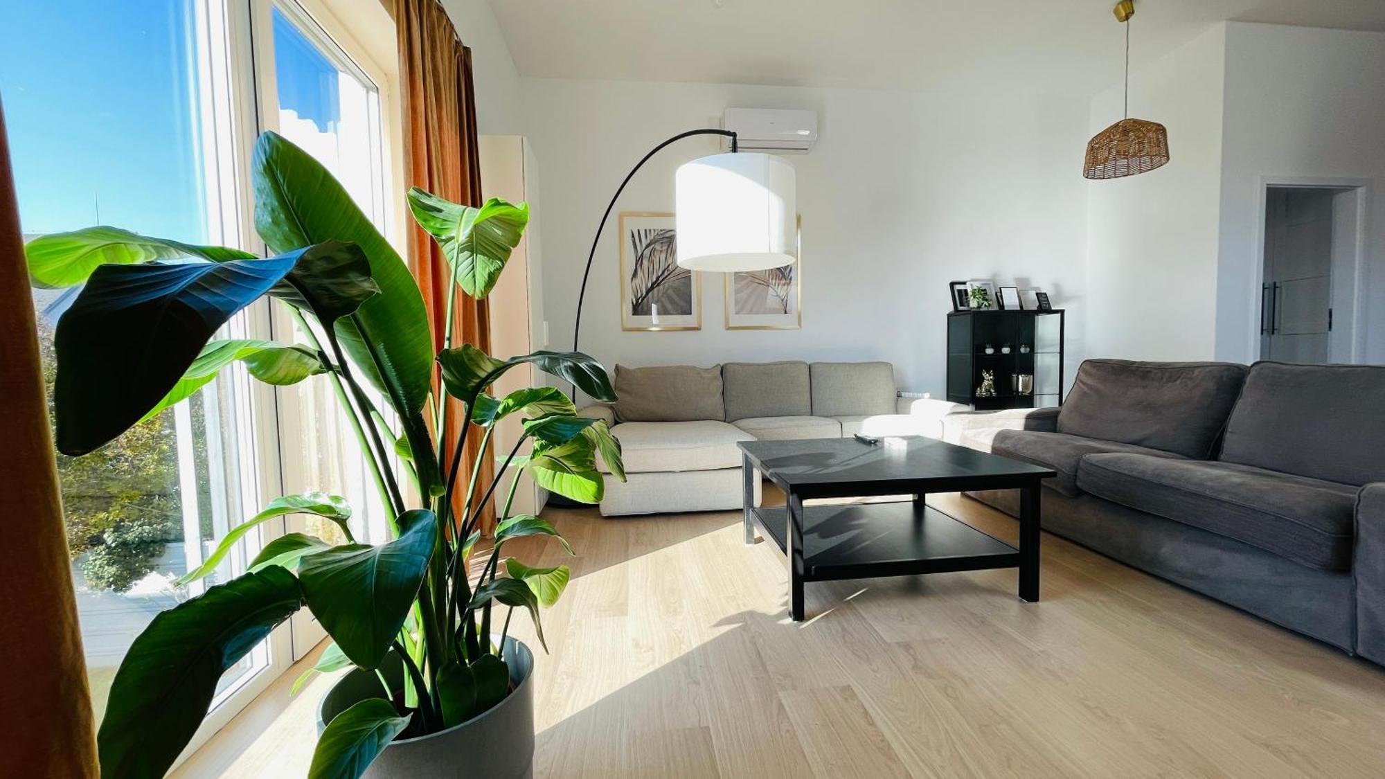House Flow, 3 With Terrace, Free 2 Parking