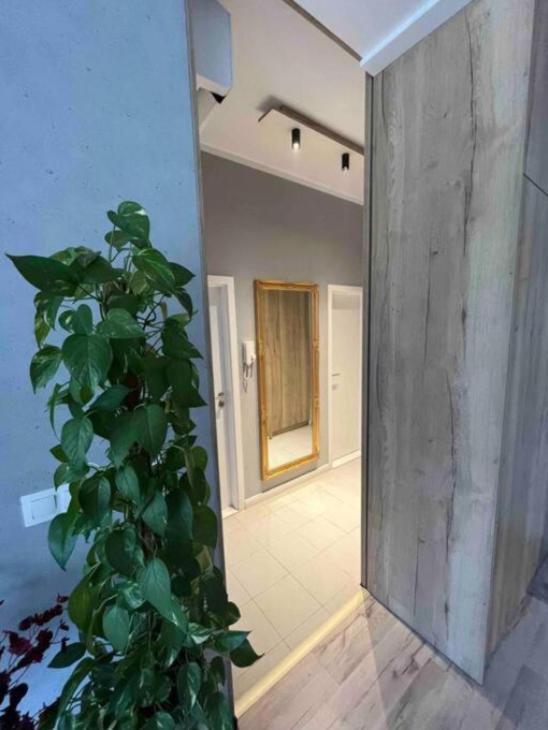 Cozy Close To The Center * Bratislava