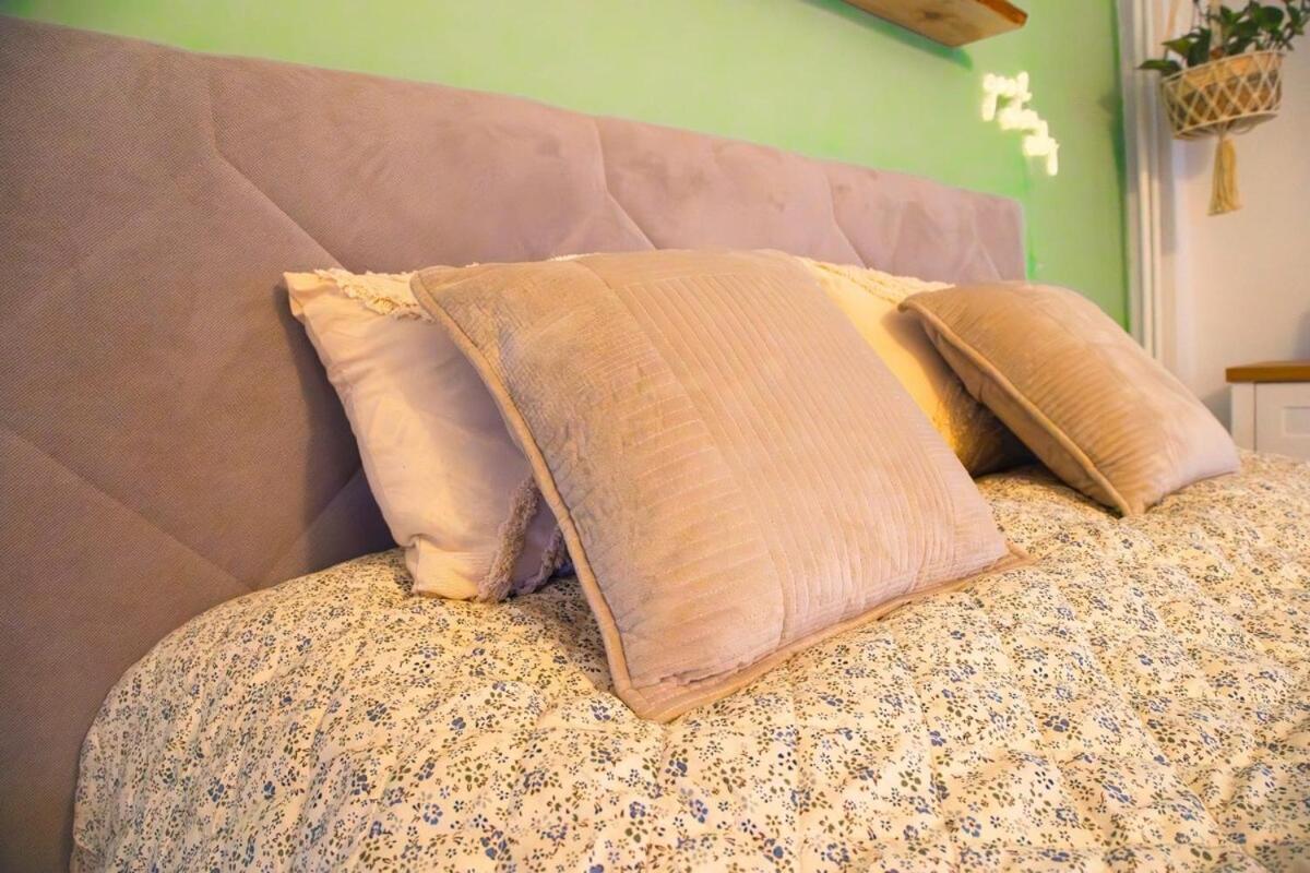 Cozy Little In Old Tw Apartment Bratislava