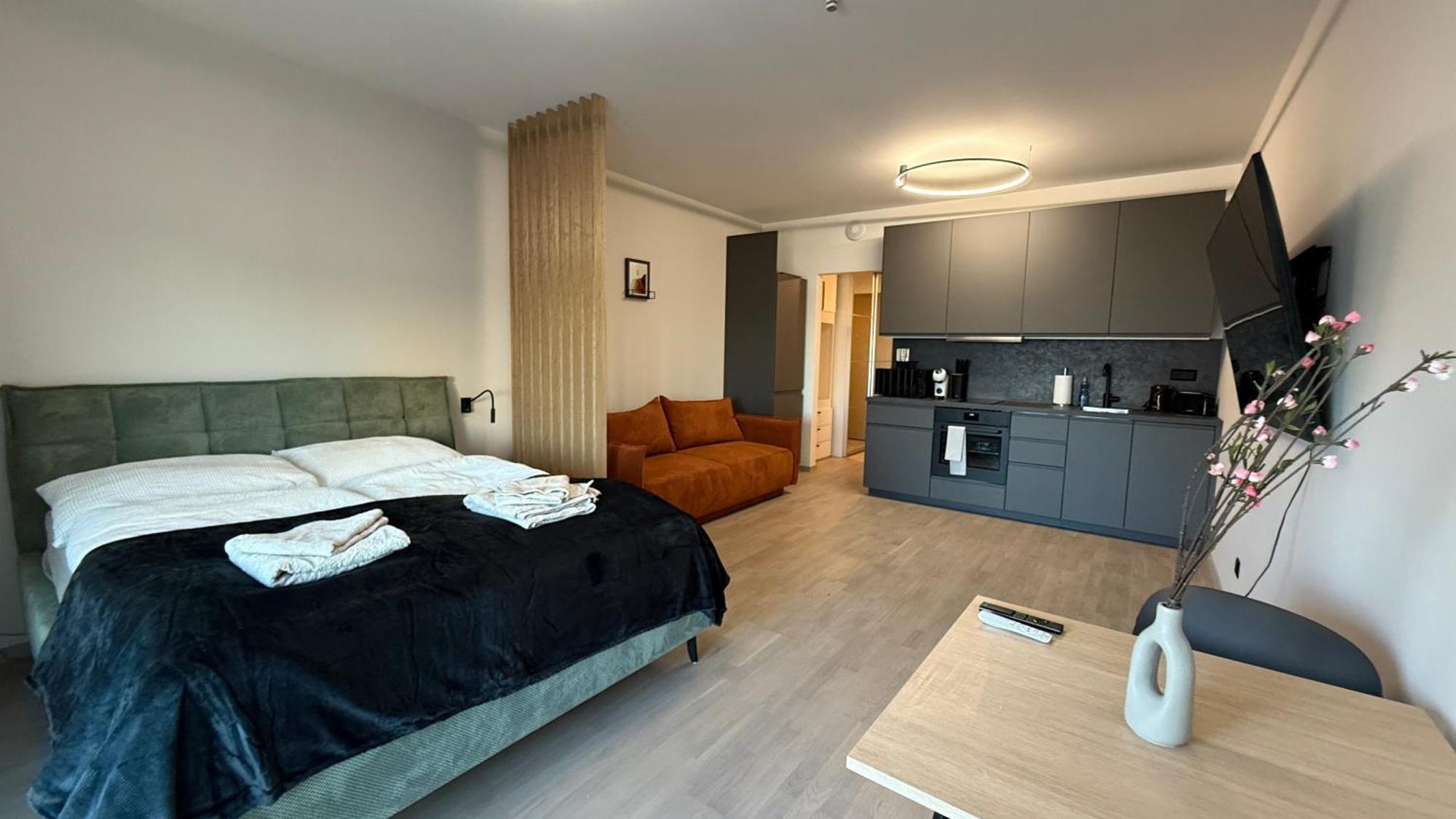1,5 Ac Apartment, Balcony,new Building, Downtown, Old Apartamento Bratislava