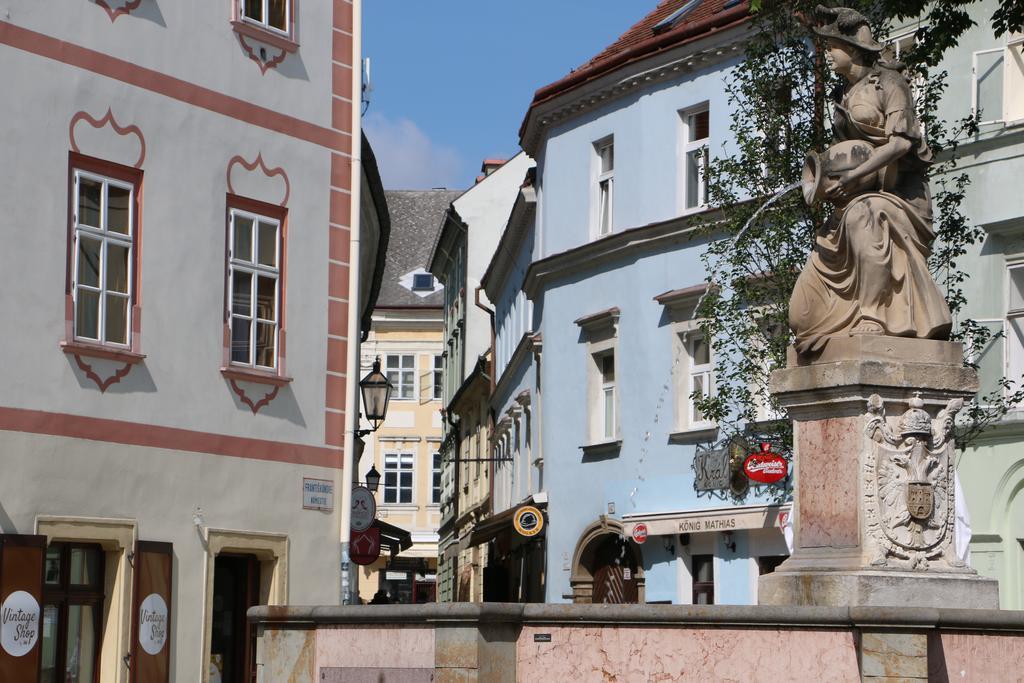 Central Apartmany Biela Street Pressburg